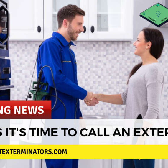 3-signs-it's-time-to-call-an-exterminator