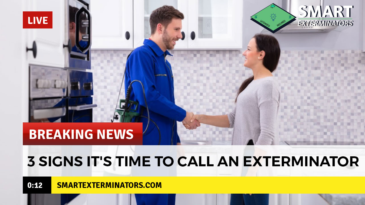 3-signs-it's-time-to-call-an-exterminator