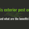 What is exterior pest control and what are the benefits?