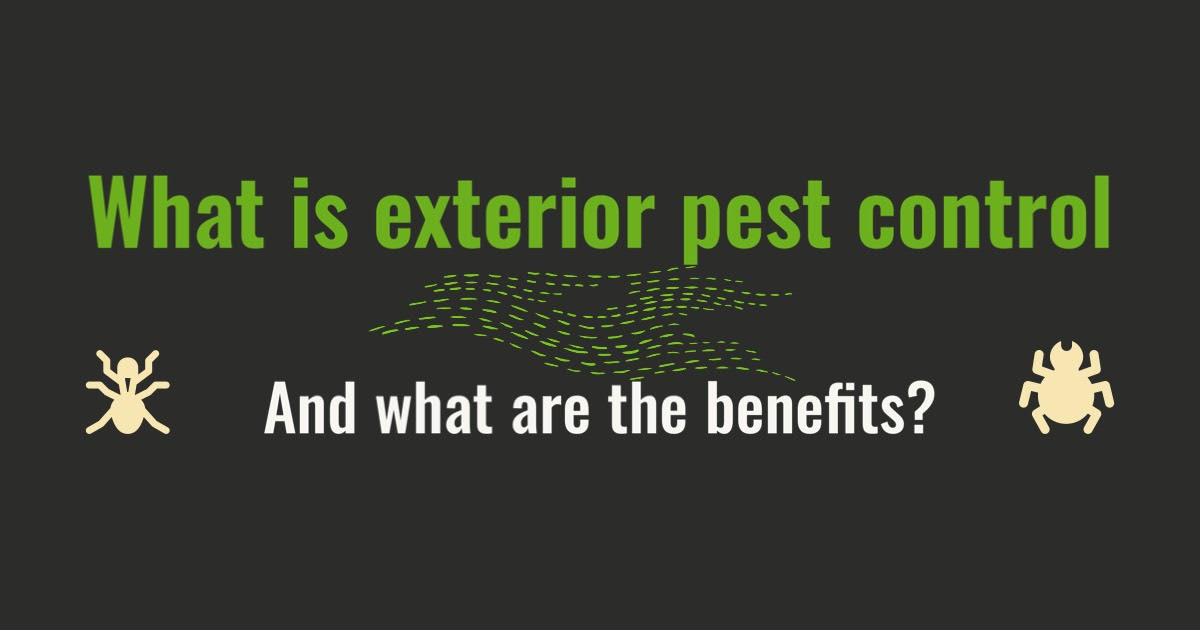 what is exterior pest control article image